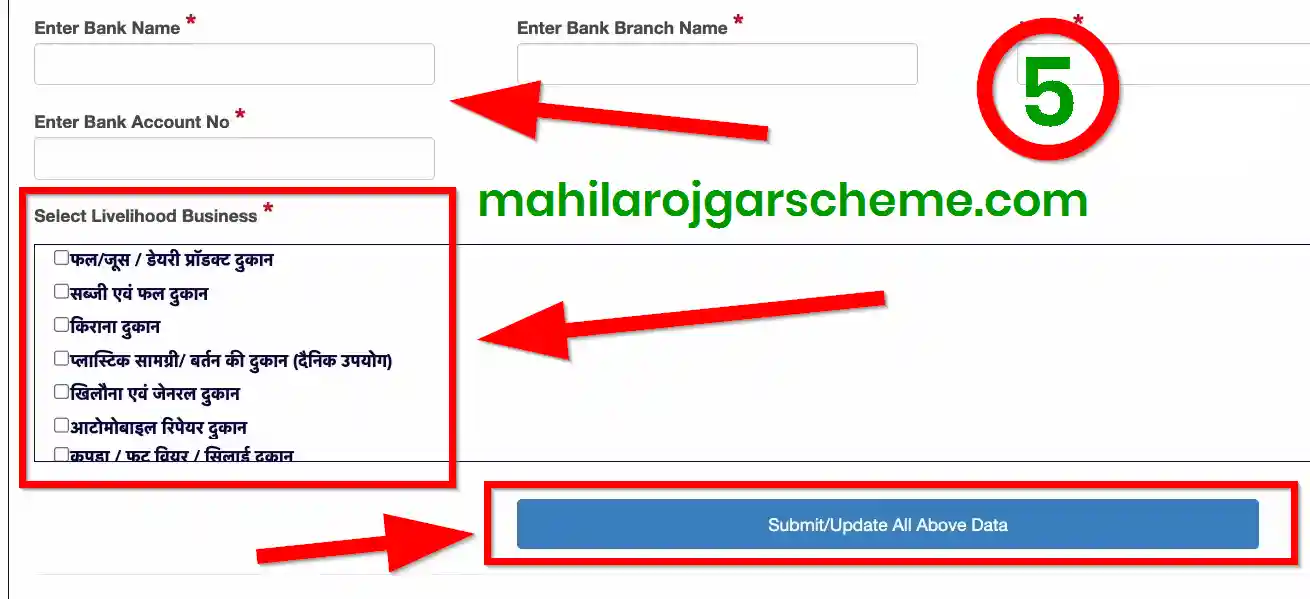 Bihar Mahila Rojgar Yojana Apply Bank Details 2026